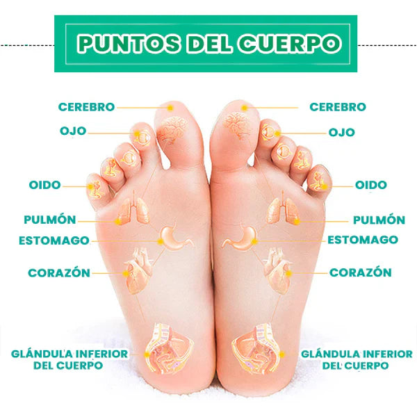 ÚLTIMOS PACKS DISPONIBLES + ENVÍO GRATIS: Adhesivo Inteligente Detox